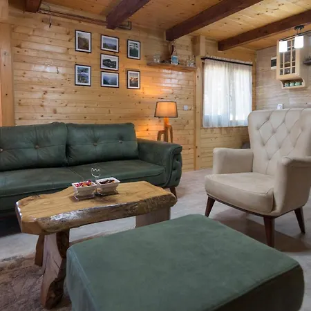 Brvnare Krstigora Prázdninový dům Zaovine